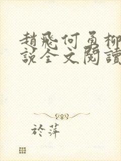 赵飞何勇柳颖小说全文阅读最新章节