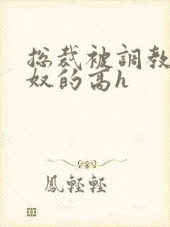 总裁被调教成贱奴的高h