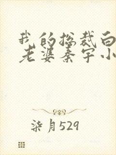 我的总裁白富美老婆秦宇小说正版