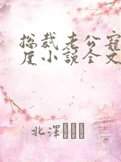 总裁老公宠妻无度小说全文免费