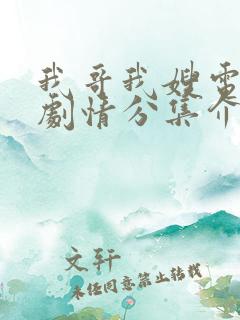 我哥我嫂电视剧剧情分集介绍