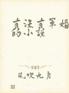 有没有军婚好看的小说