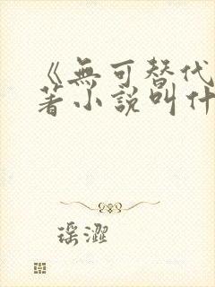 《无可替代》原著小说叫什么