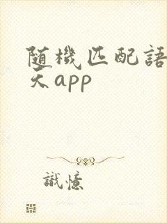 随机匹配语音聊天app