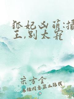 狐妃凶萌:摄政王,别太宠