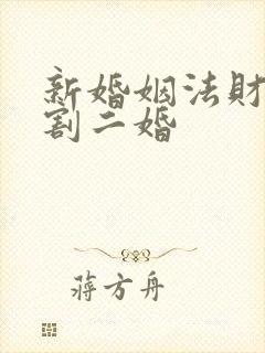 新婚姻法财产分割二婚