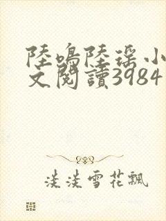 陆鸣陆瑶小说全文阅读3984章