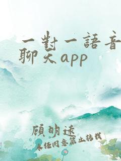 一对一语音聊天聊天app