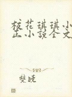 校花琪琪小刚小正小说全文阅读