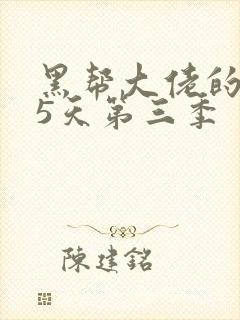 黑帮大佬的365天第三季