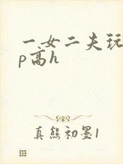 一女二夫玩弄np高h