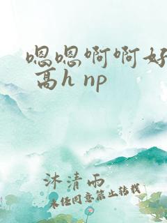 嗯嗯啊啊好爽啊 高h np