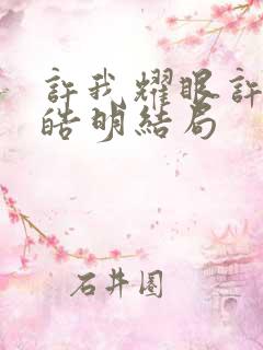 许我耀眼许妍沈皓明结局