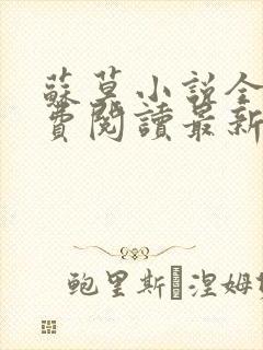 苏莫小说全文免费阅读最新章节