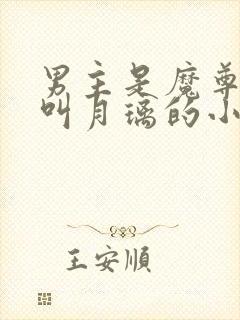 男主是魔尊女主叫月璃的小说