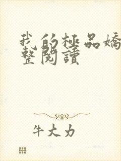 我的极品娇妻完整阅读