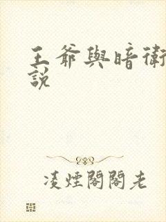 王爷与暗卫的小说