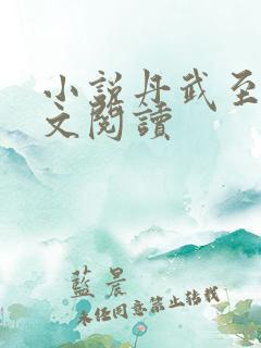 小说丹武至尊全文阅读