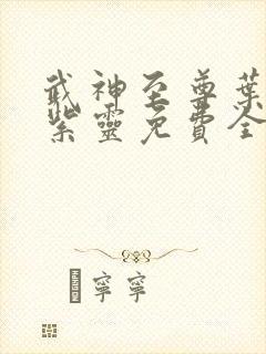 武神至尊叶风叶紫灵免费全文阅读