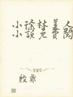 小徐林美人主角小说免费阅读全文