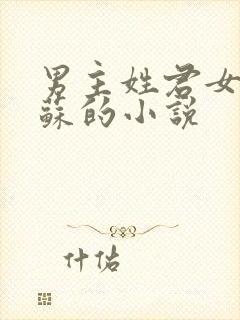 男主姓君女主姓苏的小说