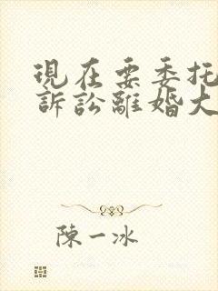 现在要委托律师诉讼离婚大概需要多少钱