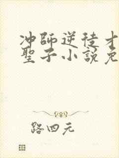 冲师逆徒才不是圣子小说免费观看