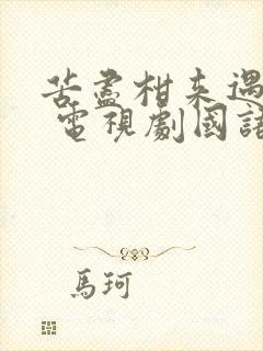 苦尽柑来遇见你 电视剧国语