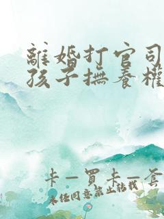 离婚打官司争夺孩子抚养权