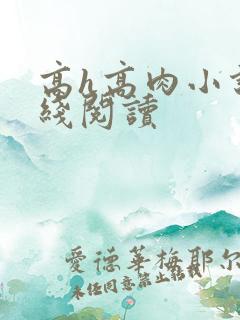 高h高肉小说在线阅读