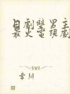 日剧双男主推荐最火电视剧