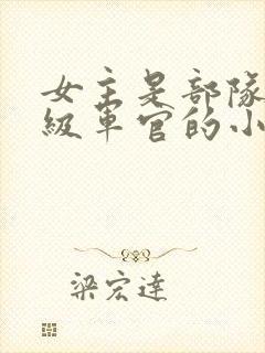 女主是部队的高级军官的小说