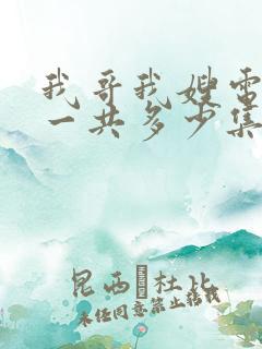 我哥我嫂电视剧一共多少集