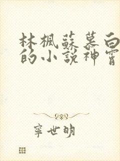 林枫苏慕白穿越的小说神霄剑宗