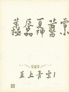 叶辰夏若雪都市极品神医小说