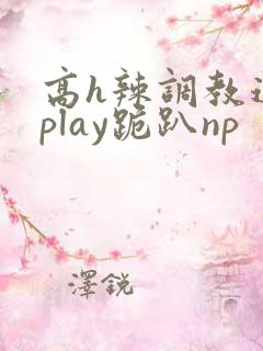 高h辣调教道具play跪趴np