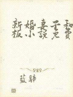 新婚妻子和菜老板小说免费阅读