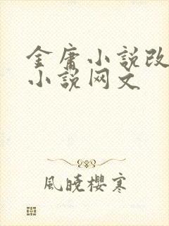 金庸小说改编的小说网文