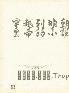 穿越到明朝崇祯皇帝的小说