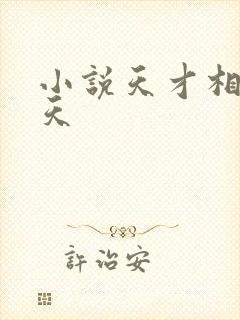 小说天才相师叶天