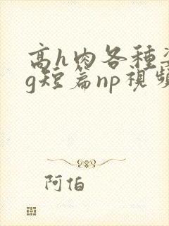 高h肉各种姿势g短篇np视频