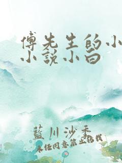 傅先生的小娇妻小说小白