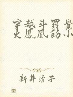 穿越斗罗觉醒邪火凤凰的小说