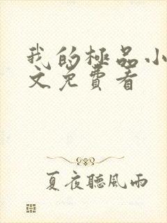 我的极品小姨全文免费看