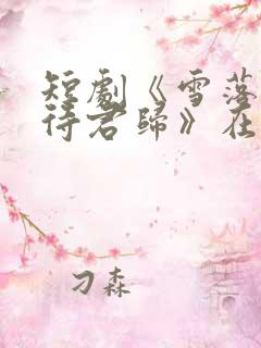 短剧《雪落人间待君归》在线观看