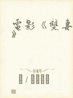 电影《双妻艳史》