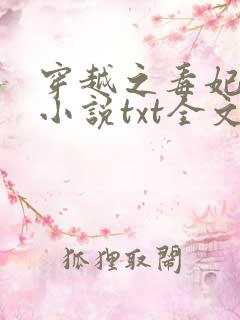 穿越之毒妃嫁到小说txt全文下载