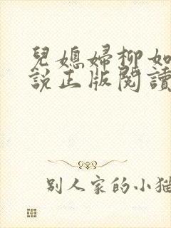 儿媳妇柳如烟小说正版阅读