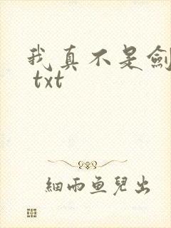 我真不是剑神啊 txt