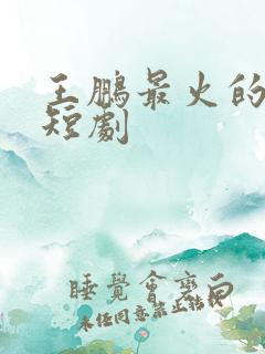 王鹏最火的十部短剧